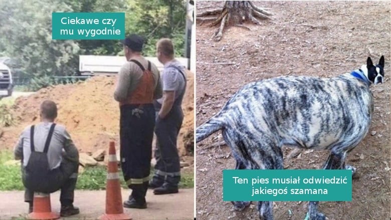 15 zdjęć, które trudno zrozumieć na pierwszy rzut oka Zdjęcie wpisu