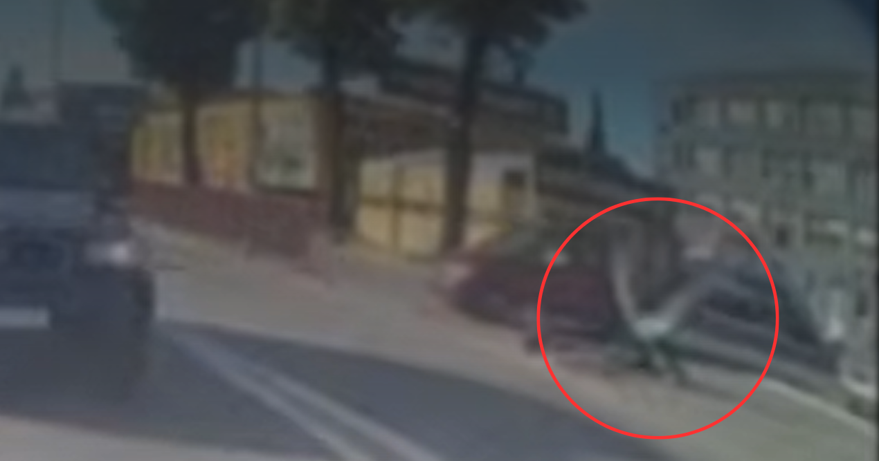 17-latek na hulajnodze przeleciał przez auto i runął na asfalt. Jechał bez kasku, trafił do szpitala Zdjęcie wpisu