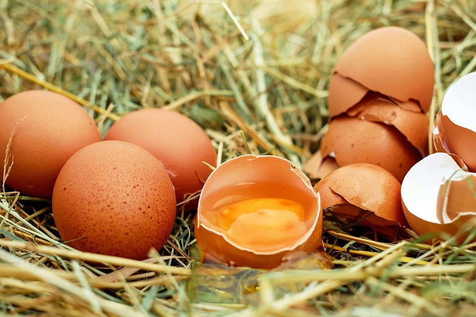 Białka jaj na zmarszczki