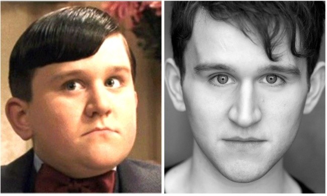 Dudley Dursley czyli Harry Melling