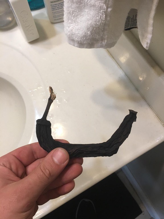 23. Ten banan dużo przeszedł