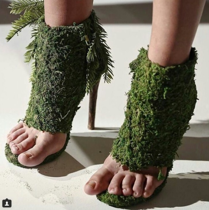 Eco i bio