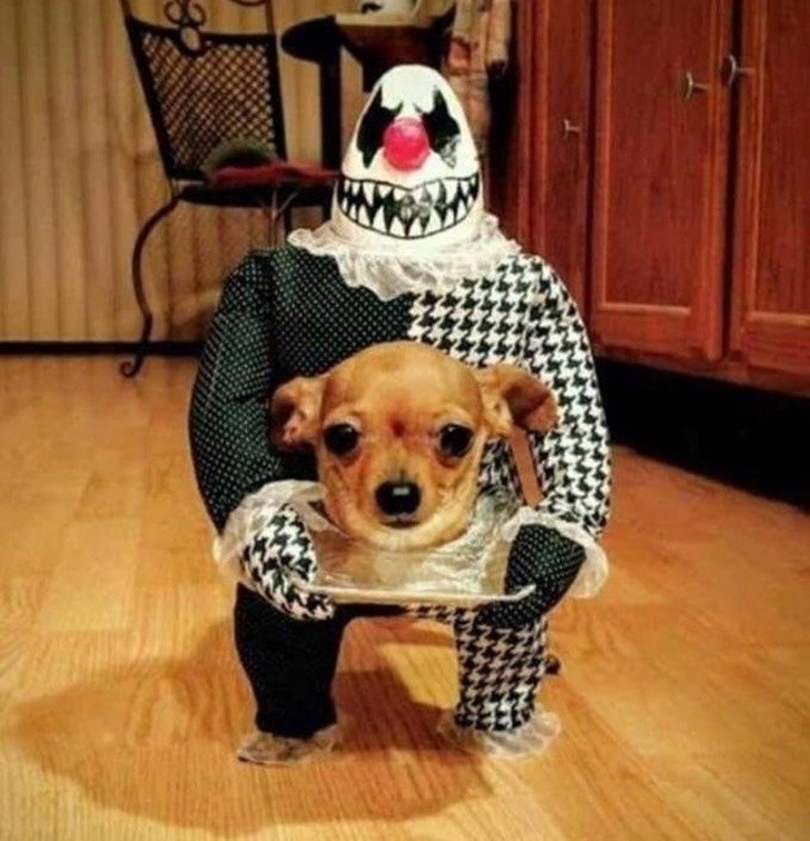 Gotów na Halloween