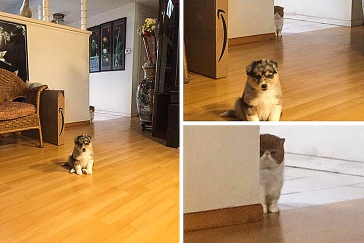 Widzę Cię