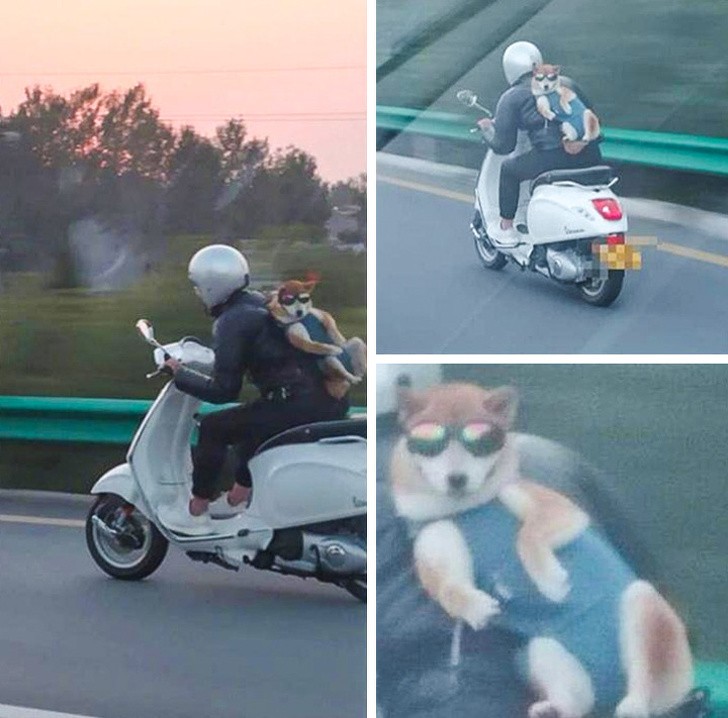 Cool