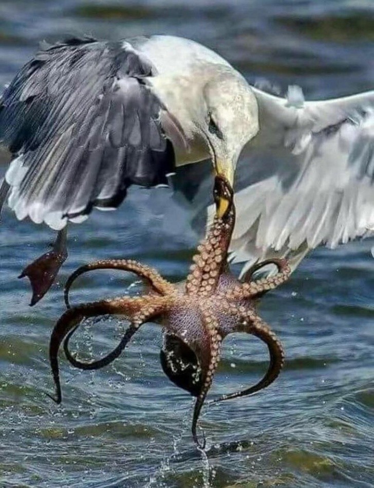 Kolacja w drodze