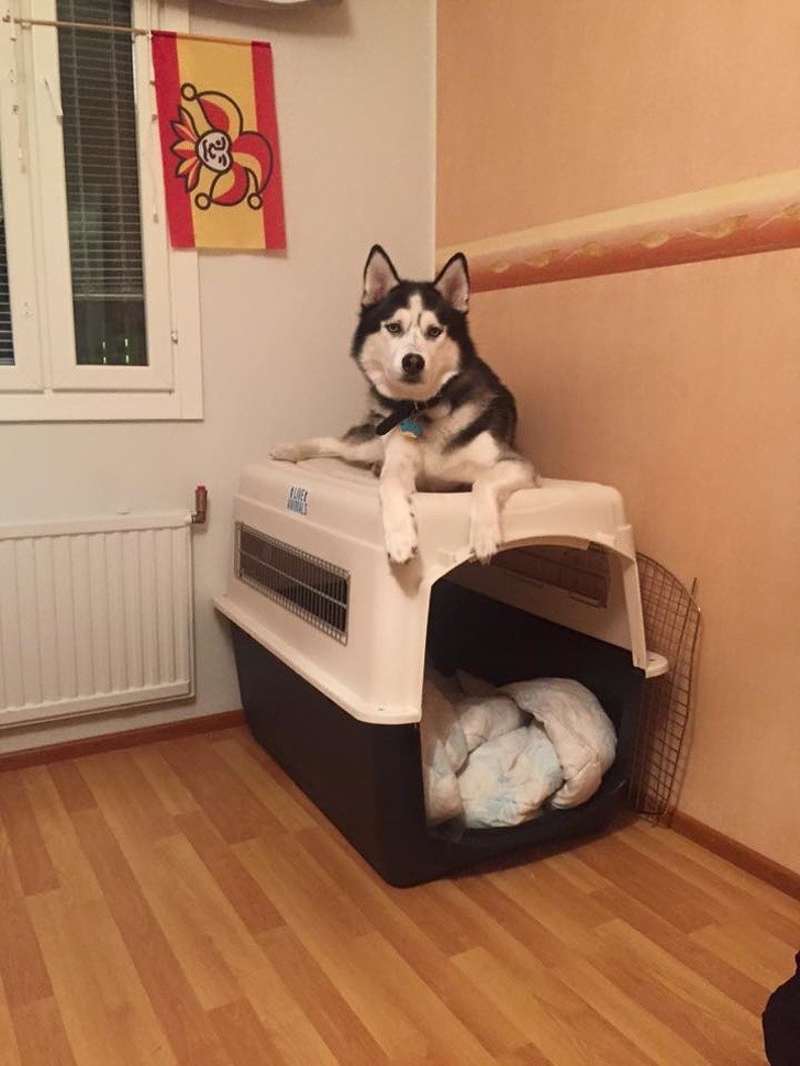 Tak wygodniej