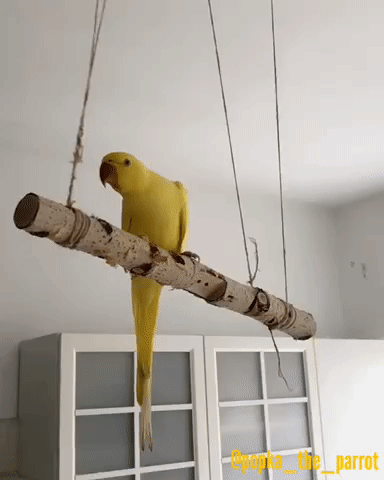 Karma ją dopadła
