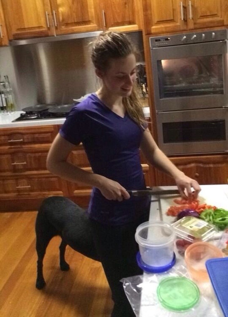 Centaur w kuchni