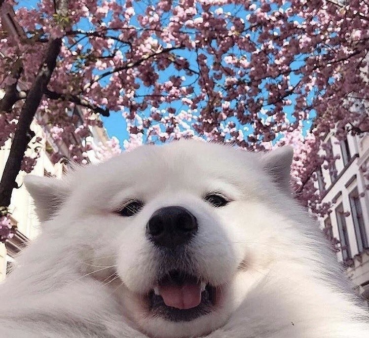 Selfie