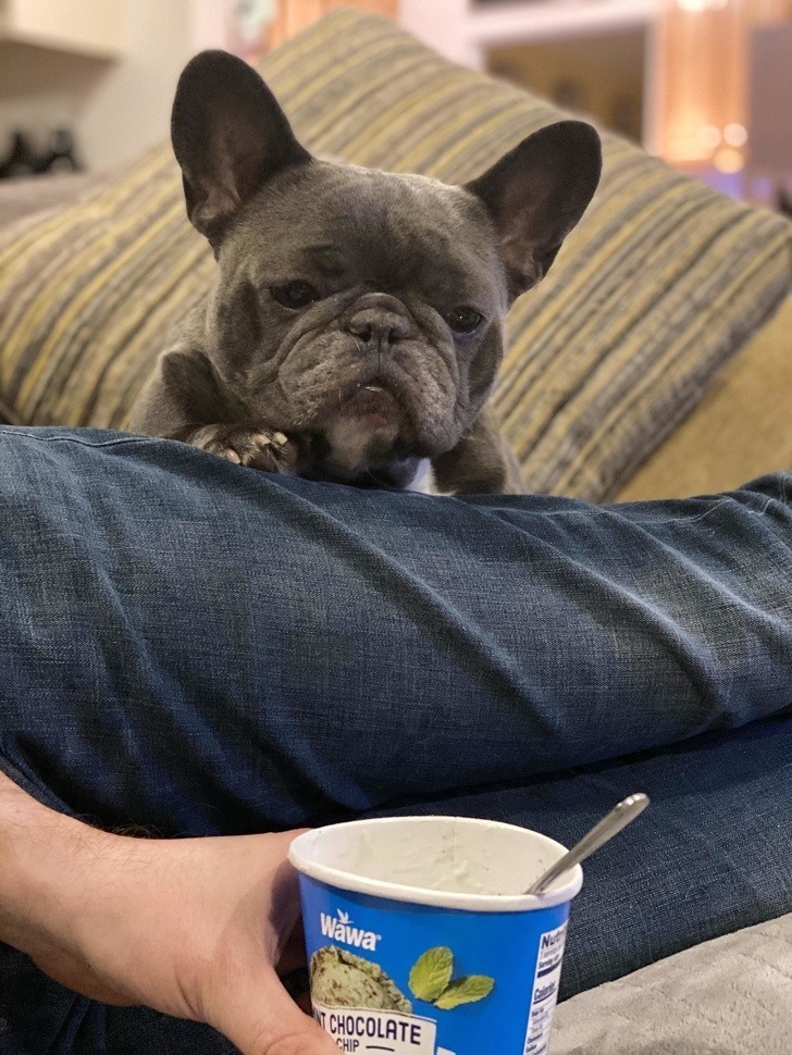 Znajdź sobie mężczyznę, który będzie patrzył na ciebie jak Stitch patrzy na lody.