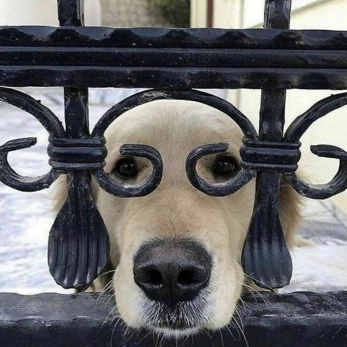 Widzę cię