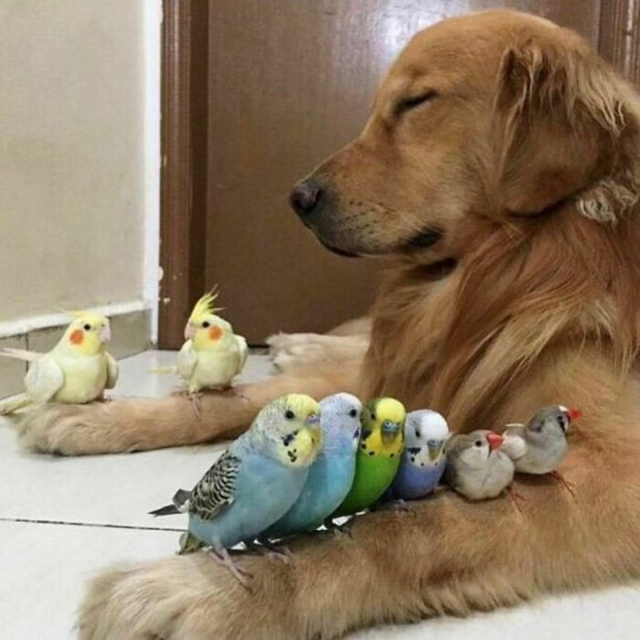 Zen