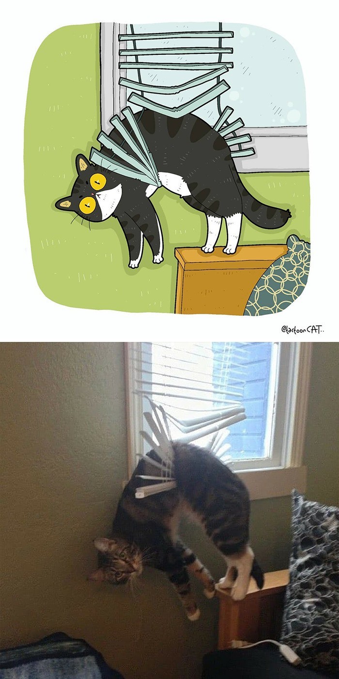 14.