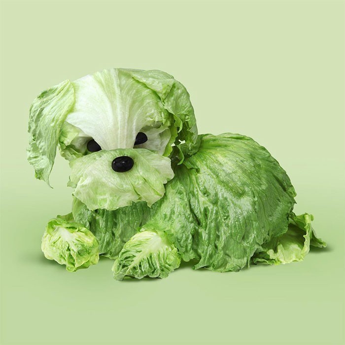 Szczeniak vege