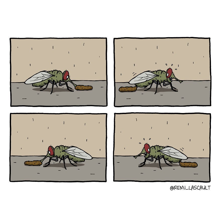 Krąg życia