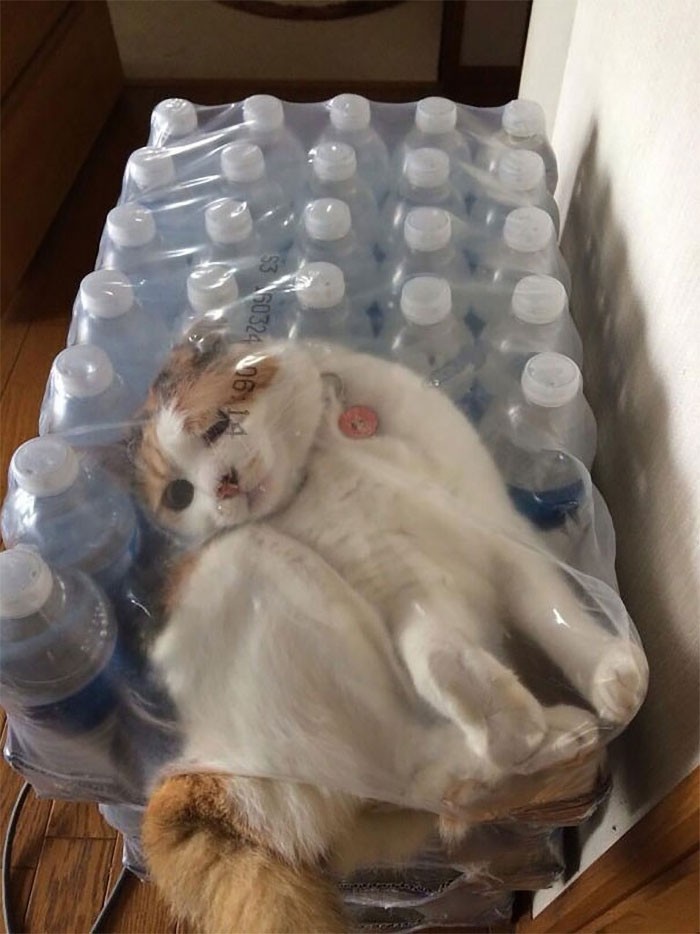 Pomóż