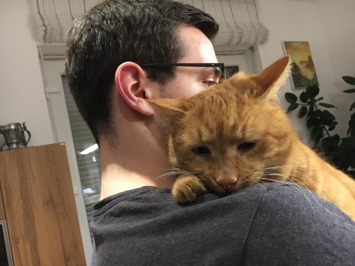 "Nasz kot miał trudny dzień, więc przyszedł przytulić się do mojego chłopaka."