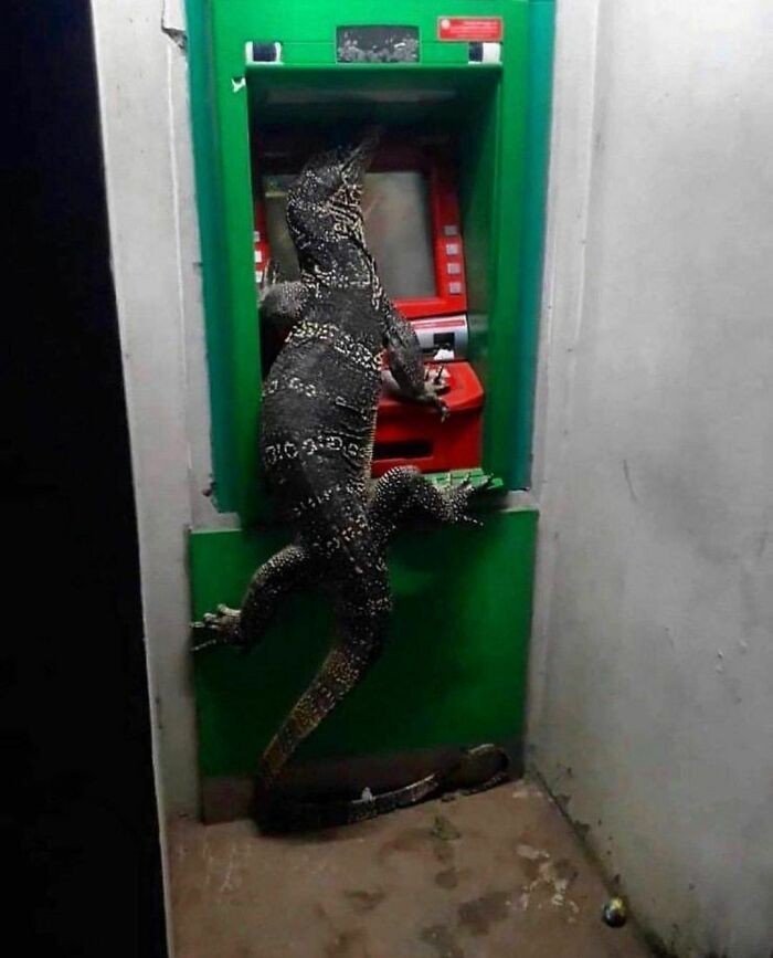 Ciekawe ile ma na koncie