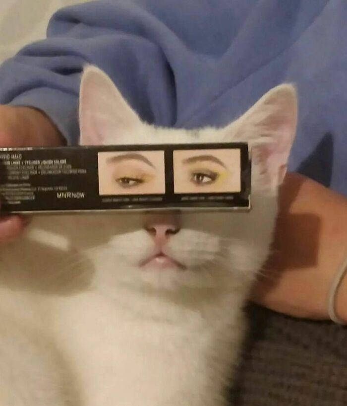 Widzę Cię