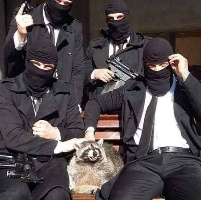 Kiedy w końcu znajdziesz tego co wywala kosz ze śmieciami na osiedlu