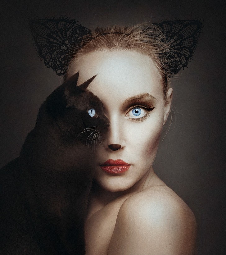 Kocia natura