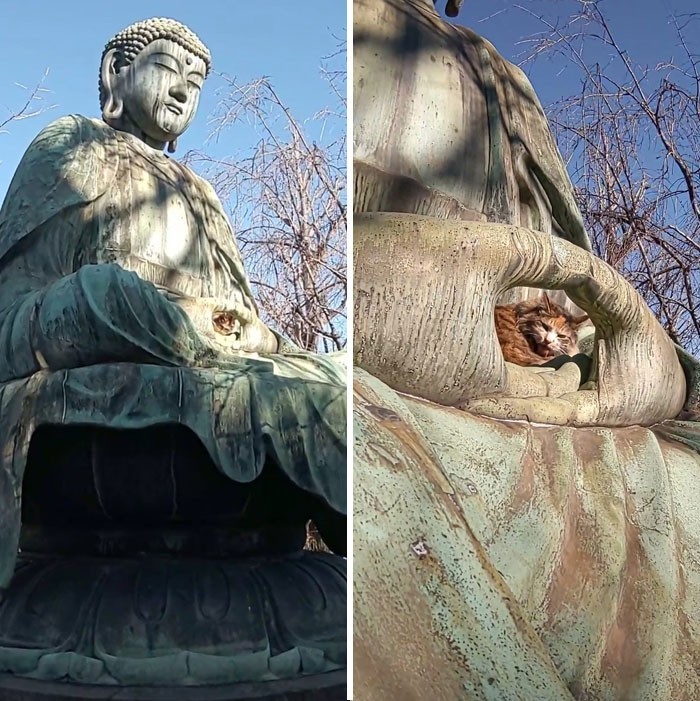 Czas na medytacje