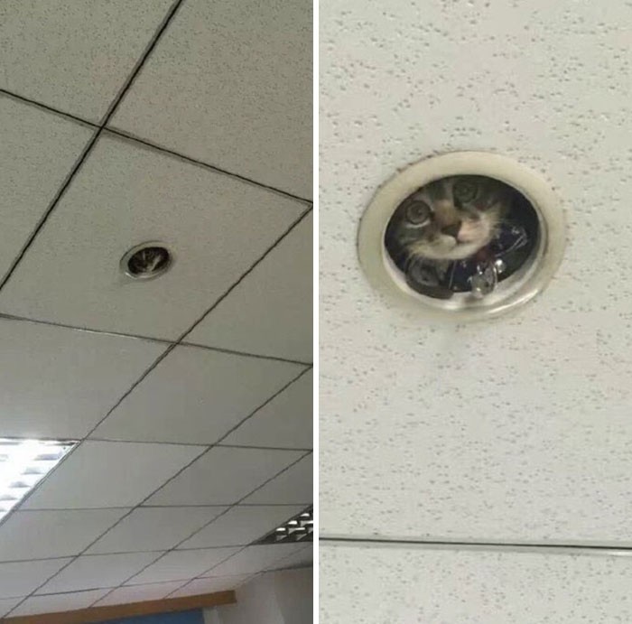 Monitoring działa