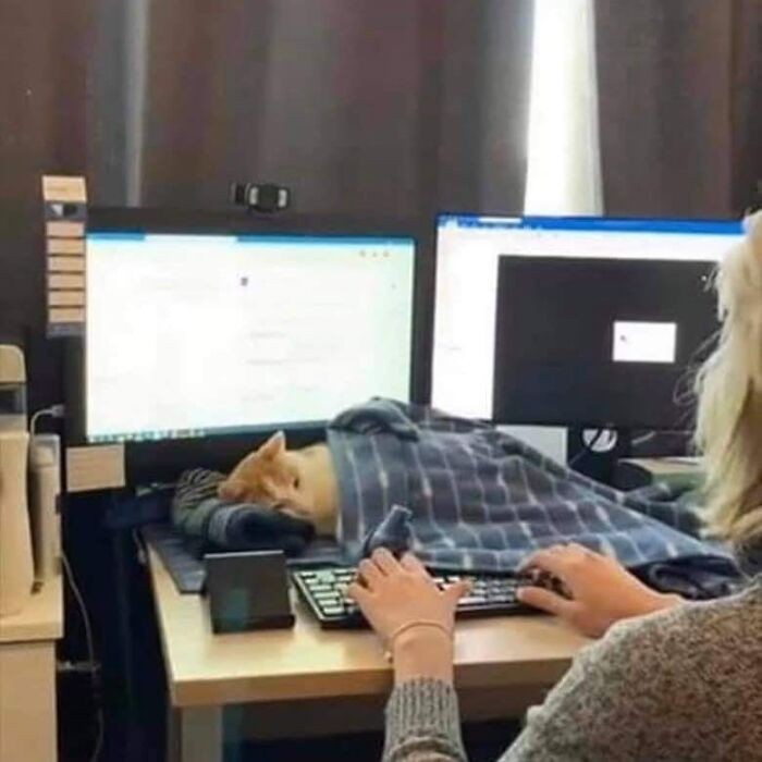 Moje miejsce pracy
