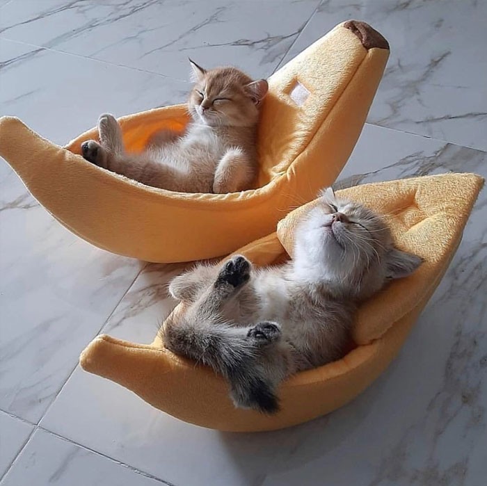 Relax