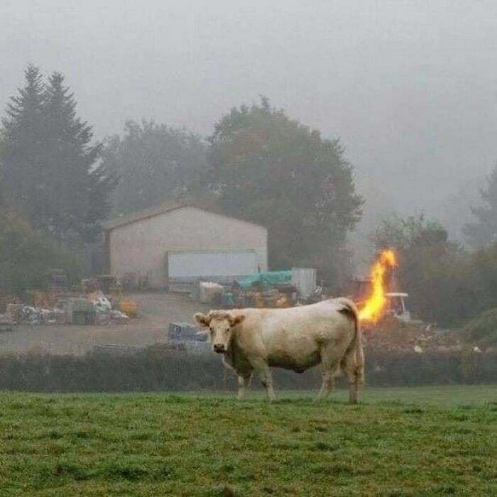 Czy to pożar metanu