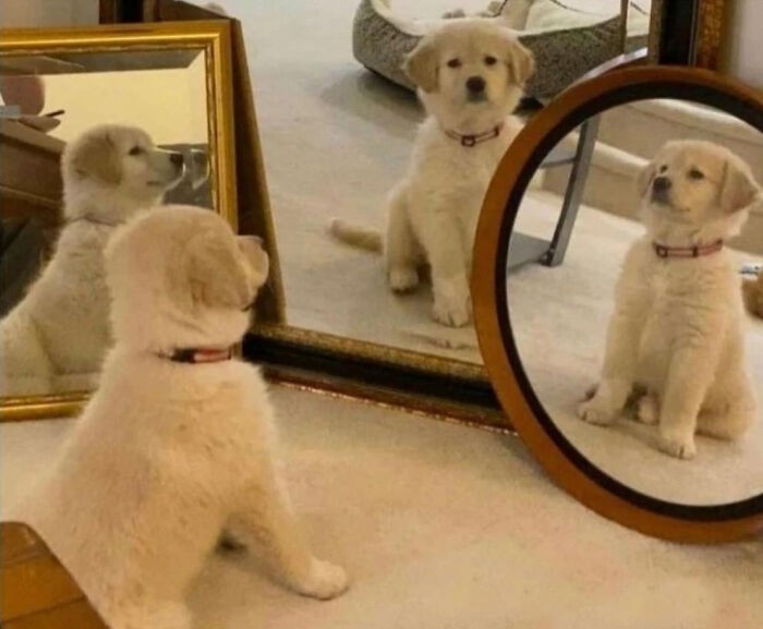 Incepcja