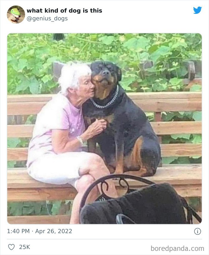 Najlepszy wnuczek