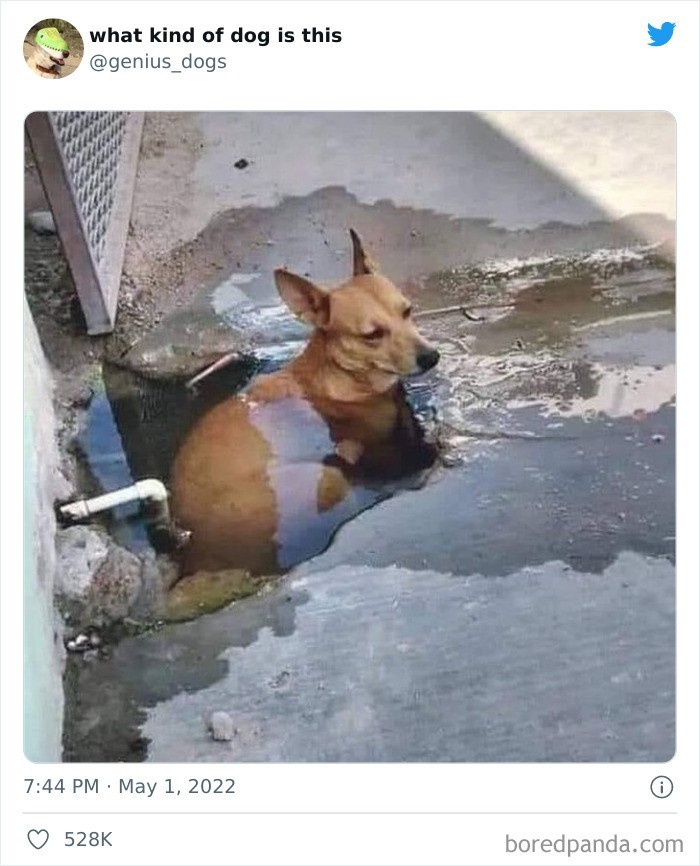 Wie jak się schłodzić