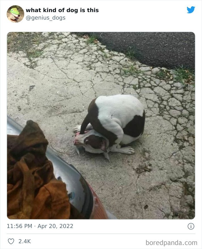 Złapał!