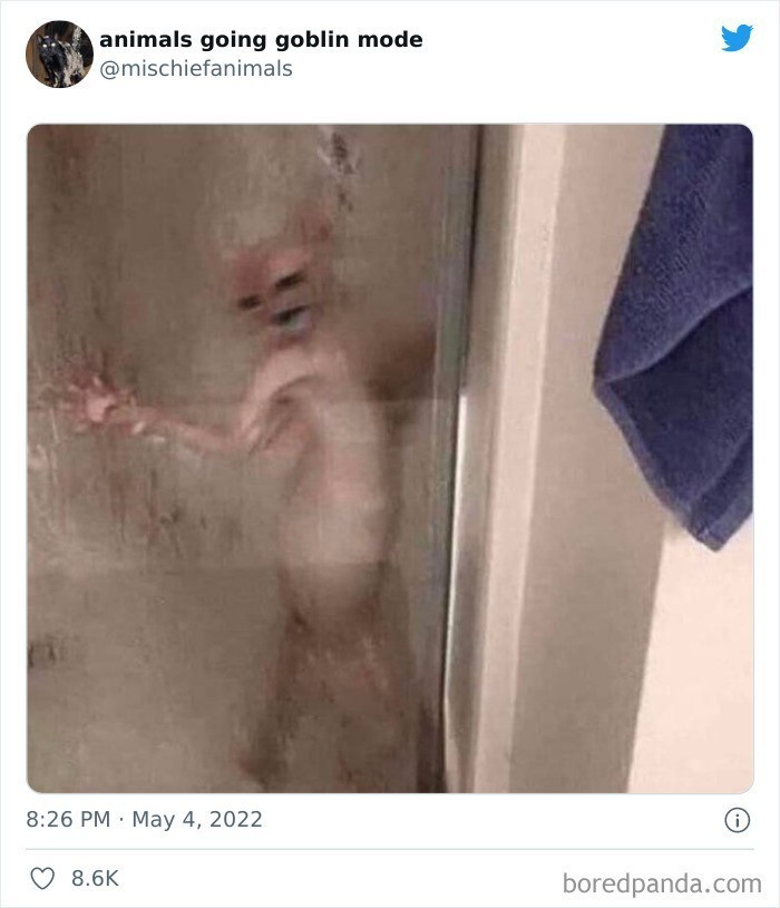 Wypuść mnieee