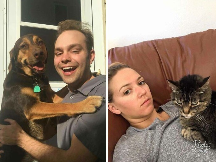 Psiarze vs kociarze