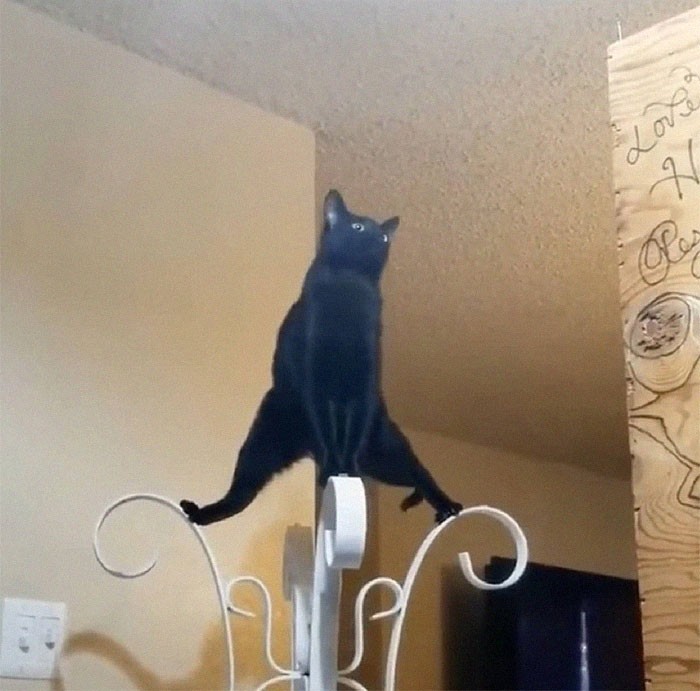 Ćwiczę jogę