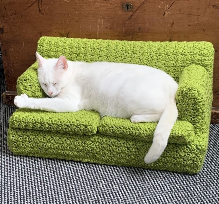 13. "Moja kotka śpiąca na sofie, którą dla niej wykonałam."