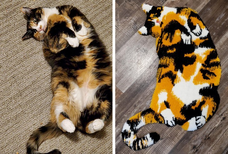 "Vyrobil jsem koberec ve stylu mé kočky."