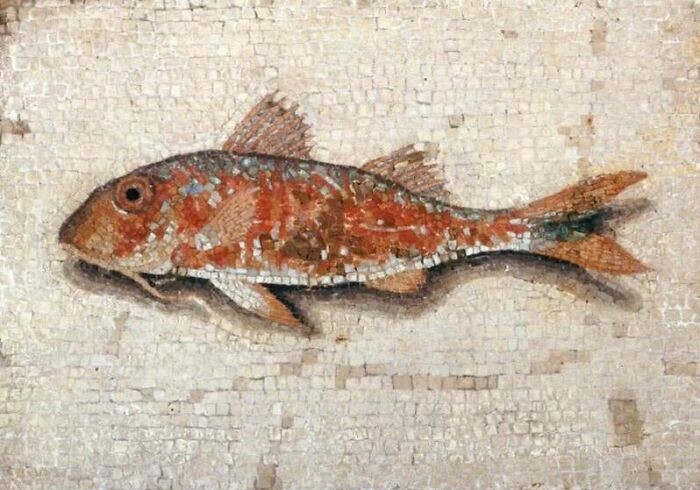 „Římská mozaika ryby, 1. století našeho letopočtu