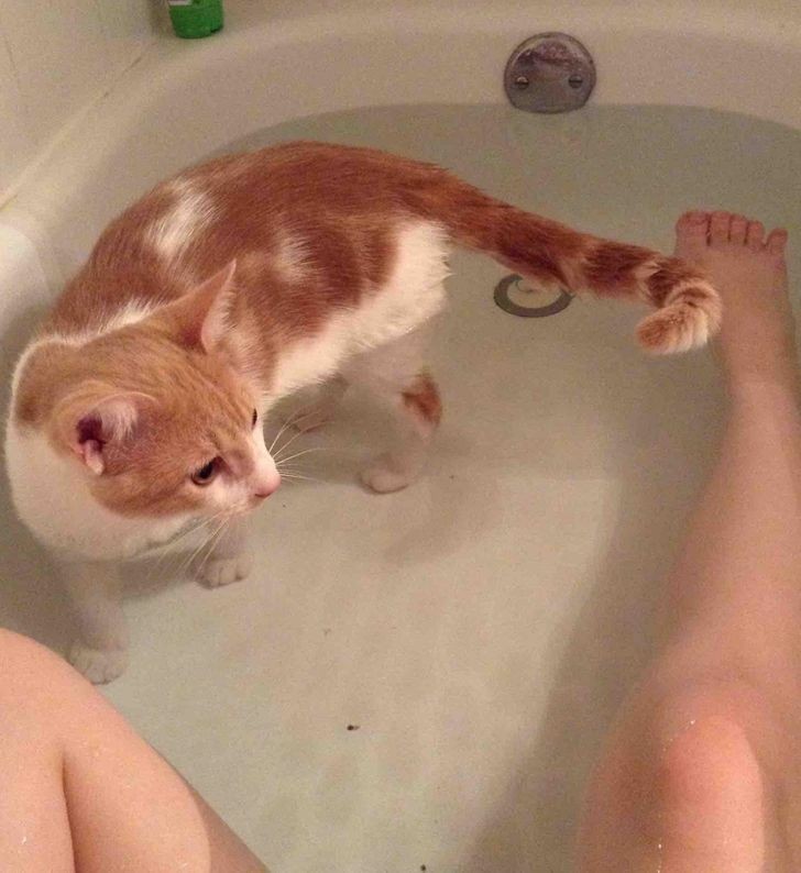 16. "Moje kočka se se mnou ráda koupe."