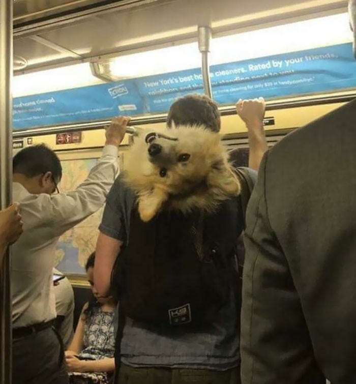 "Pozdrowienia z nowojorskiego metra"