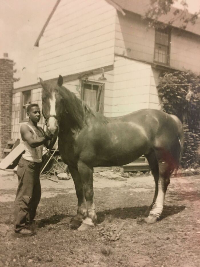 3. "Mój dziadek i jego koń, Ruby, 1949"
