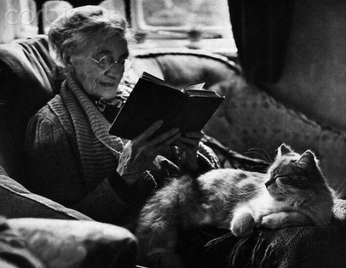 8. Starsza pani czytająca książkę z kotem leżącym na jej kolanach, 1944