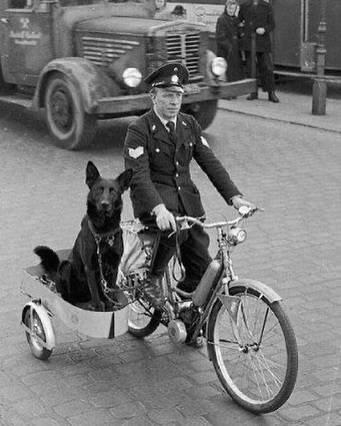 "Policyjny pies na służbie, lata 30."