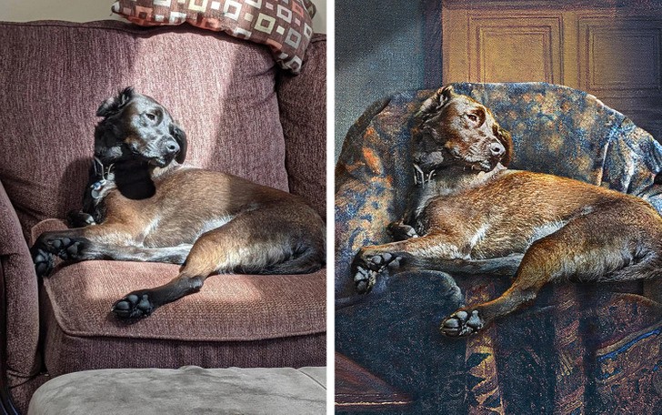 "Mam nadzieję, że ktoś przerobi mojego psa na obraz z renesansu."