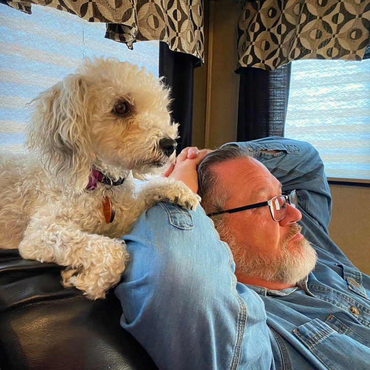 "Mój pies ogląda ze mną telewizję."