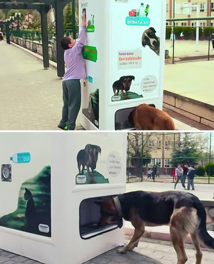 "Ten automat w Stambule wydaje karmę dla bezdomnych psów, gdy wrzucisz do niego butelki do recyklingu."
