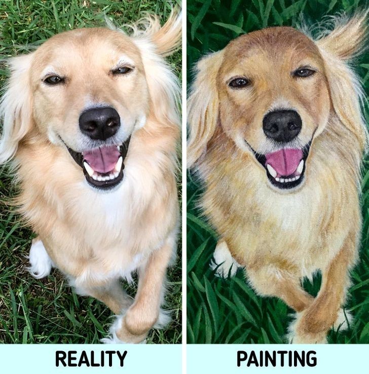 14. "Zleciłam artystce namalowanie mojego psa. Wyszedł fantastycznie!"